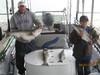 (04/22/2012) - Nice Striped Bass