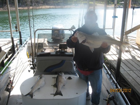 Nice Striped Bass