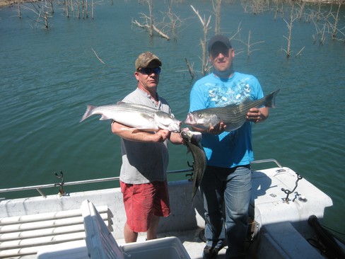 Nice Striped Bass
