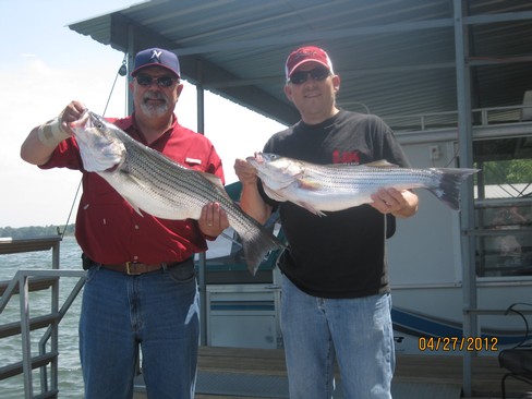 Nice Striped Bass