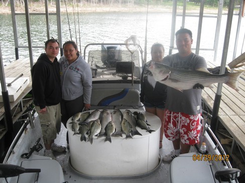 Nice Striped Bass