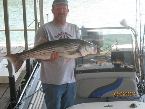 Nice Striped Bass