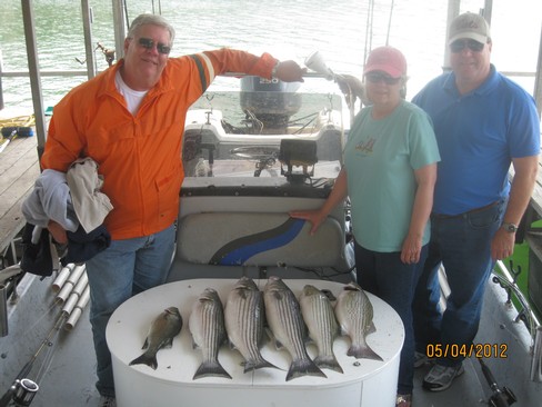 Nice Striped Bass