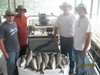 (05/05/2012) - Nice Striped Bass