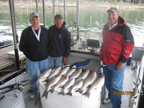 Nice Striped Bass