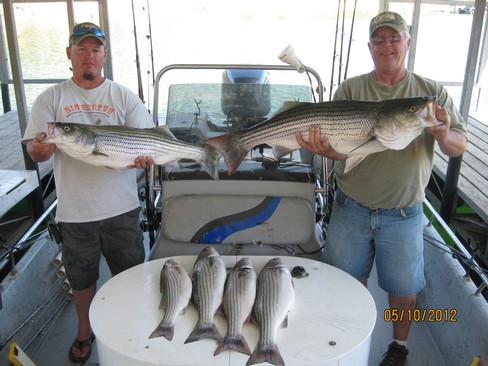 Nice Striped Bass