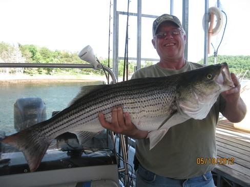 Nice Striped Bass