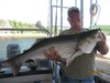 (05/10/2012) - Nice Striped Bass