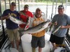 (05/11/2012) - Nice Striped Bass