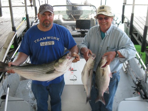Nice Striped Bass