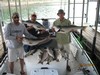 (05/13/2012) - Nice Striped Bass
