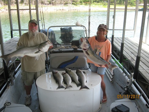 Nice Striped Bass