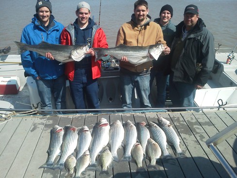 Nice Striped Bass