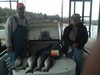 (04/02/2014) - Nice Striped Bass