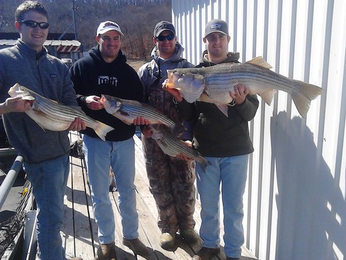 Nice Striped Bass