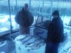 (03/20/2015) - Nice Striped Bass