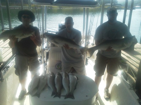 Nice Striped Bass