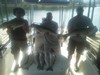 (07/17/2016) - Nice Striped Bass