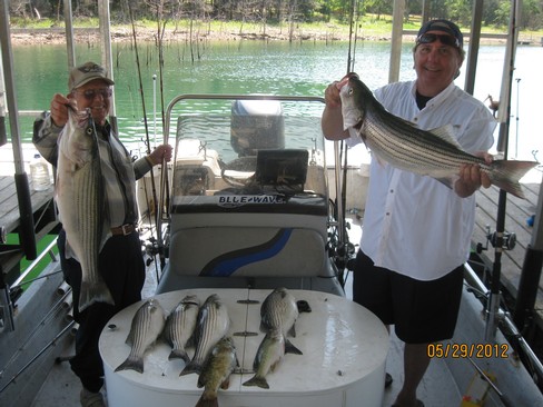 Nice Striped Bass
