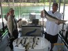 (05/29/2012) - Nice Striped Bass