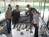 (05/31/2012) - Nice Striped Bass