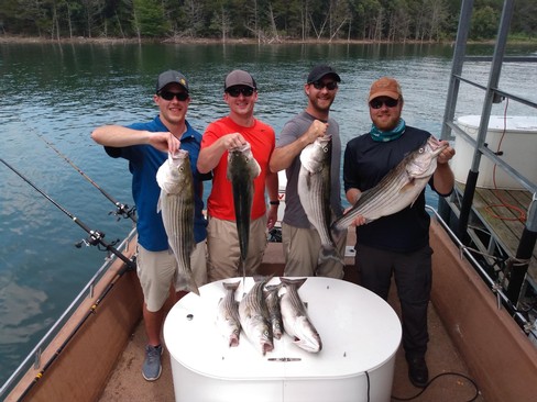 Nice Striped Bass