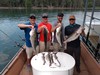 (08/10/2019) - Nice Striped Bass