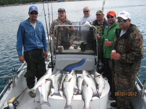 Nice Striped Bass