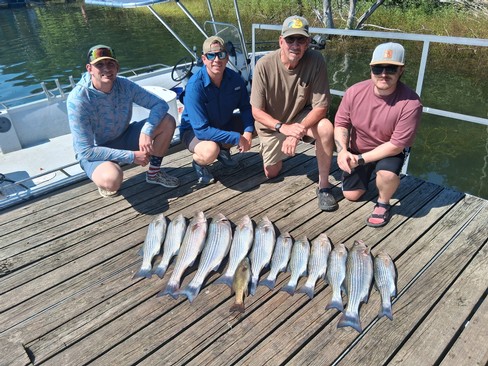 Nice Striped Bass