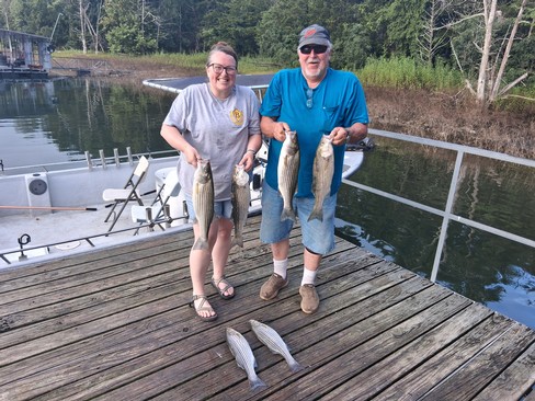 Nice Striped Bass