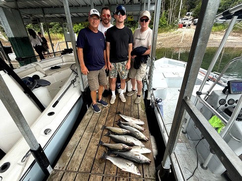 Nice Striped Bass