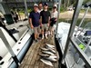 (07/17/2026) - Nice Striped Bass