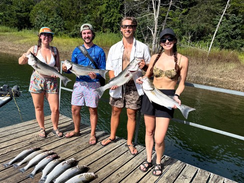 Nice Striped Bass