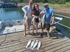 (07/19/2026) - Nice Striped Bass