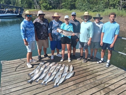 Nice Striped Bass