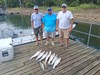 (07/31/2026) - Nice Striped Bass