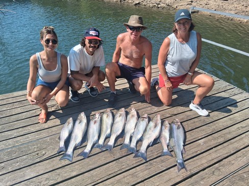 Nice Striped Bass