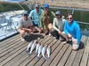 (08/07/2026) - Nice Striped Bass