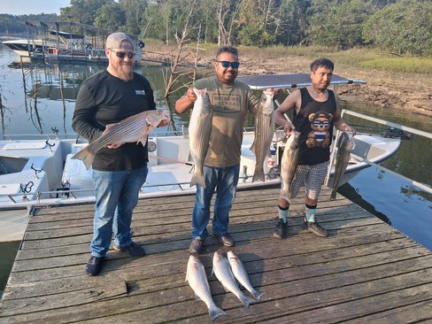 Nice Striped Bass