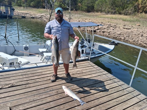 Nice Striped Bass