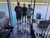 (08/28/2026) - Nice Striped Bass