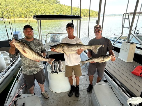 Nice Striped Bass
