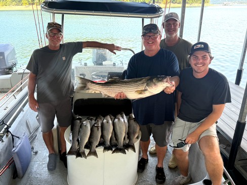 Nice Striped Bass