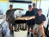 (08/29/2026) - Nice Striped Bass