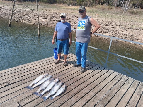 Nice Striped Bass