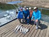 (09/11/2029) - Nice Striped Bass
