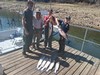 (09/19/2026) - Nice Striped Bass