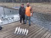 (09/23/2026) - Nice Striped Bass
