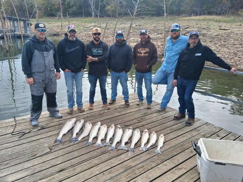 Nice Striped Bass