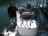 (06/02/2012) - Nice Striped Bass